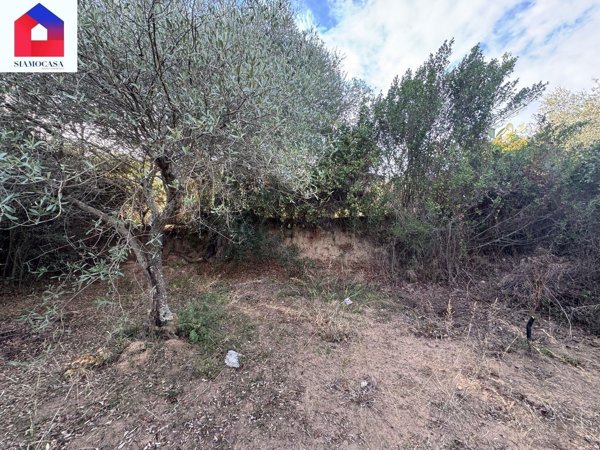 terreno agricolo in vendita a Guspini