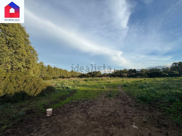 terreno agricolo in vendita a Guspini