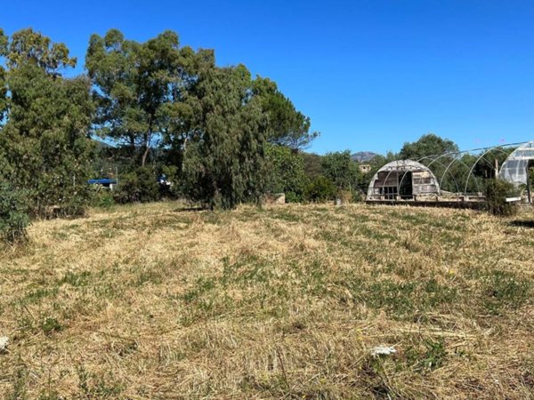 terreno agricolo in vendita a Guspini