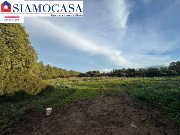 terreno agricolo in vendita a Guspini