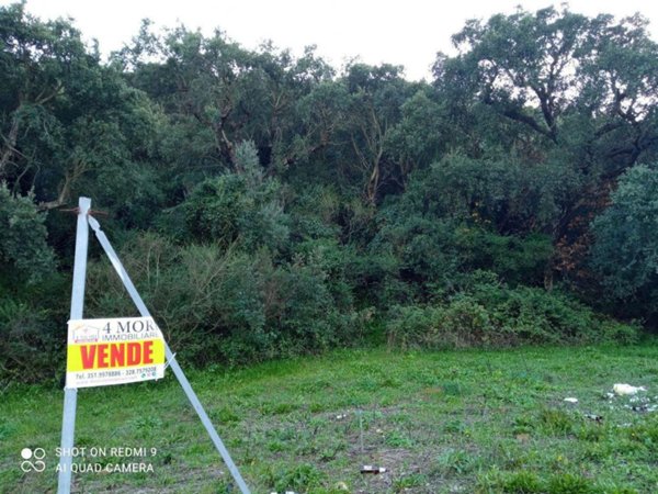 terreno agricolo in vendita ad Iglesias