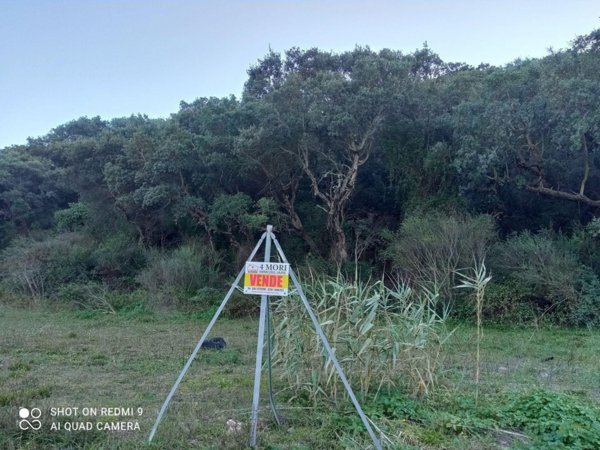 terreno agricolo in vendita ad Iglesias