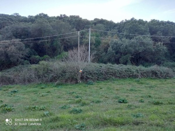 terreno agricolo in vendita ad Iglesias