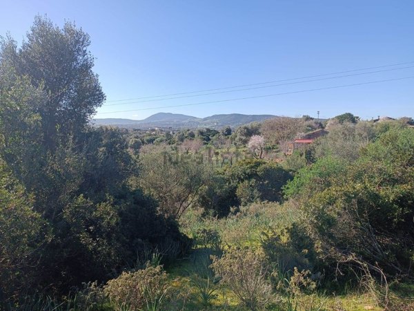 terreno agricolo in vendita ad Iglesias