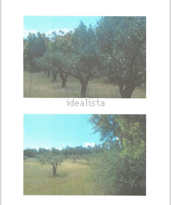 terreno agricolo in vendita ad Iglesias