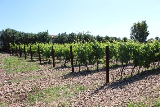 casa indipendente in vendita ad Iglesias