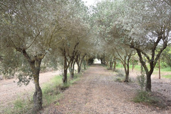 casa indipendente in vendita ad Iglesias