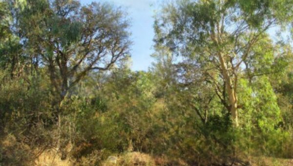 terreno agricolo in vendita ad Iglesias