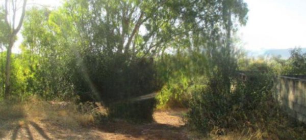 terreno agricolo in vendita ad Iglesias
