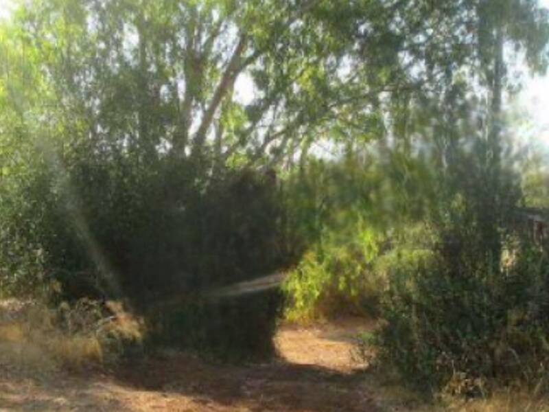 terreno agricolo in vendita ad Iglesias