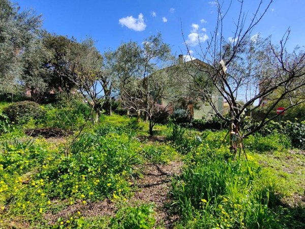 terreno agricolo in vendita ad Iglesias