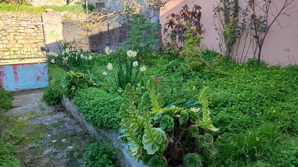 casa indipendente in vendita a Mandas