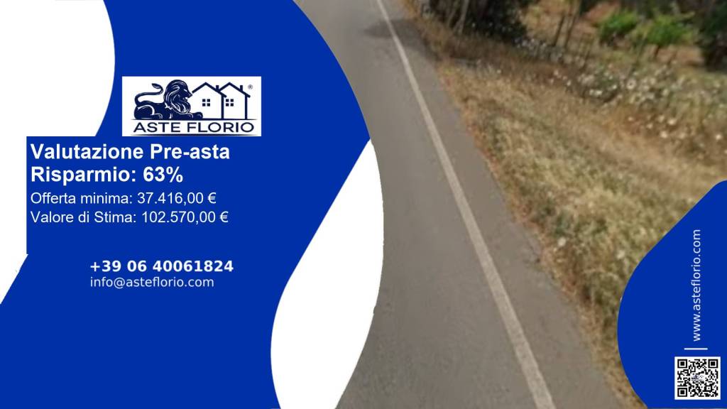 terreno agricolo in vendita a Mandas