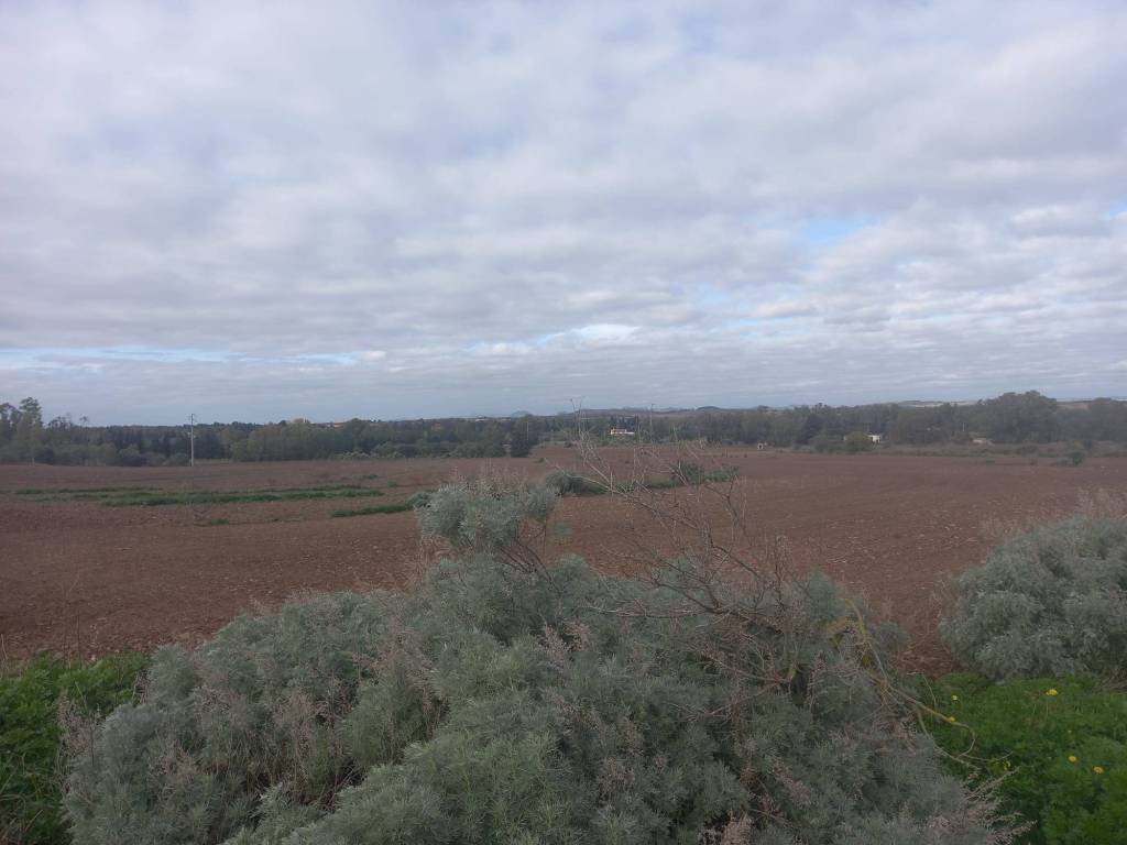 terreno agricolo in vendita a Monastir