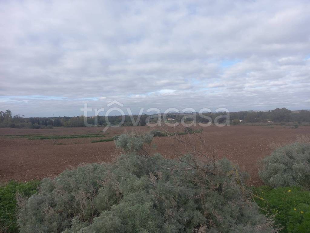 terreno agricolo in vendita a Monastir