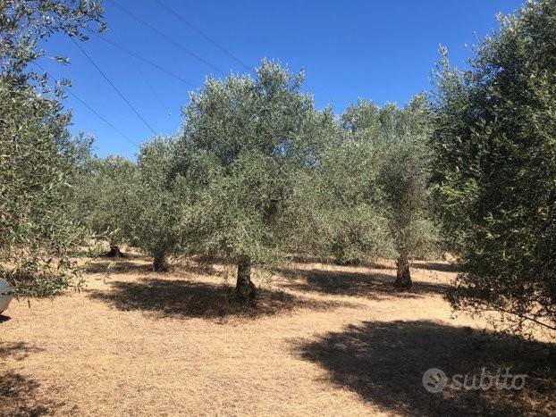 casa indipendente in vendita a Monastir