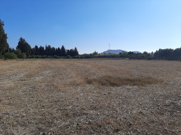 terreno agricolo in vendita a Monastir