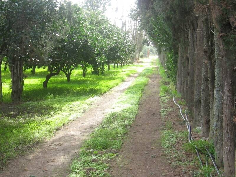 terreno agricolo in vendita a Monastir