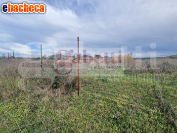 terreno edificabile in vendita a Monastir