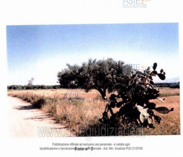 terreno agricolo in vendita a Monastir