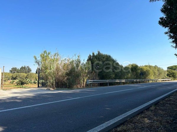 terreno agricolo in vendita a Monastir