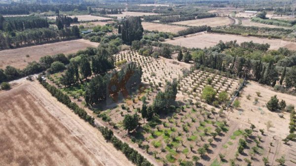 terreno agricolo in vendita a Monastir