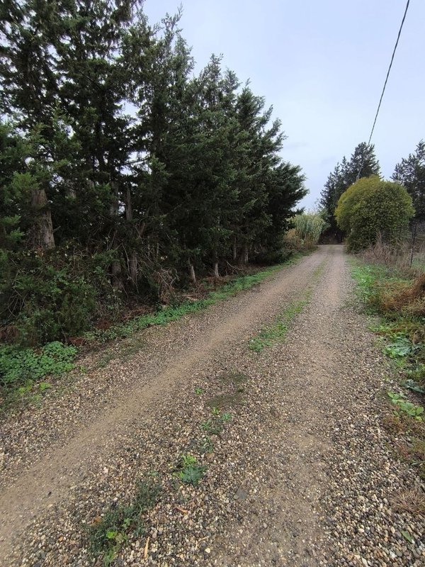 terreno agricolo in vendita a Monastir