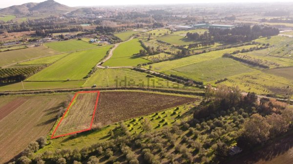 terreno agricolo in vendita a Monastir