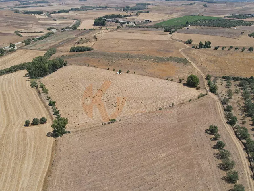 terreno agricolo in vendita a Monastir