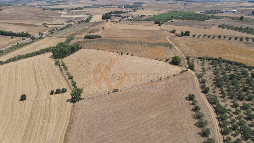 terreno agricolo in vendita a Monastir