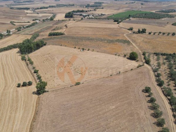 terreno agricolo in vendita a Monastir