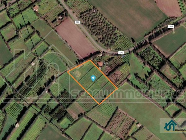 terreno agricolo in vendita a Monastir