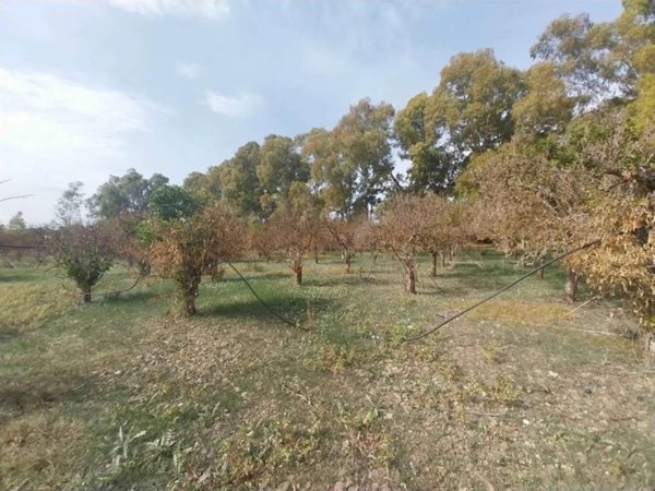 casa indipendente in vendita a Monastir