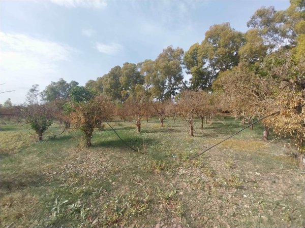 casa indipendente in vendita a Monastir