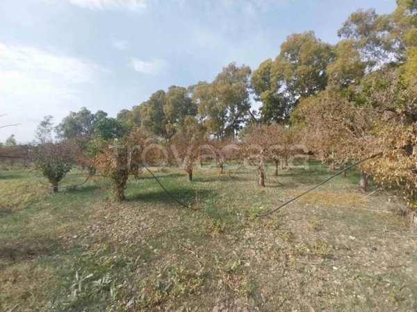 casa indipendente in vendita a Monastir