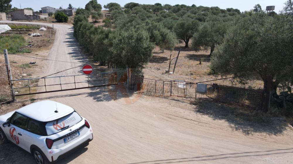 terreno agricolo in vendita a Monastir