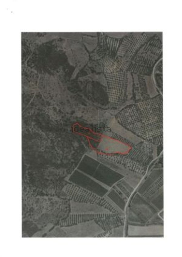 terreno agricolo in vendita a Monastir