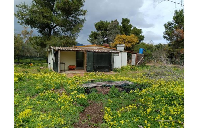terreno agricolo in vendita a Muravera