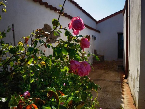 casa indipendente in vendita a Muravera