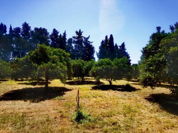 terreno agricolo in vendita a Muravera
