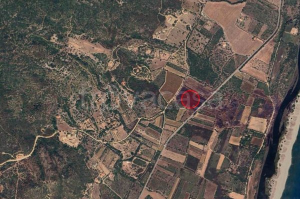 terreno agricolo in vendita a Muravera