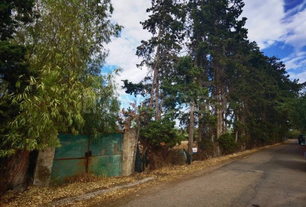 terreno agricolo in vendita a Muravera