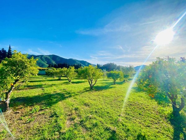 terreno agricolo in vendita a Muravera