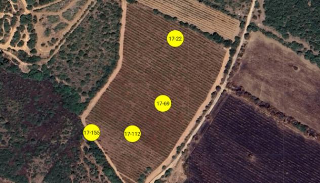 terreno agricolo in vendita a Muravera
