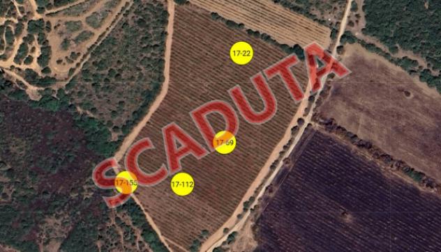 terreno agricolo in vendita a Muravera