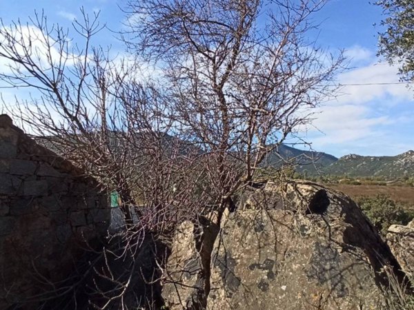 casa indipendente in vendita a Muravera