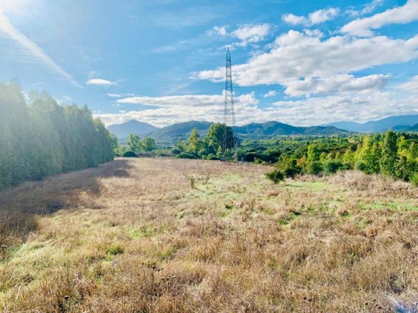 terreno agricolo in vendita a Muravera