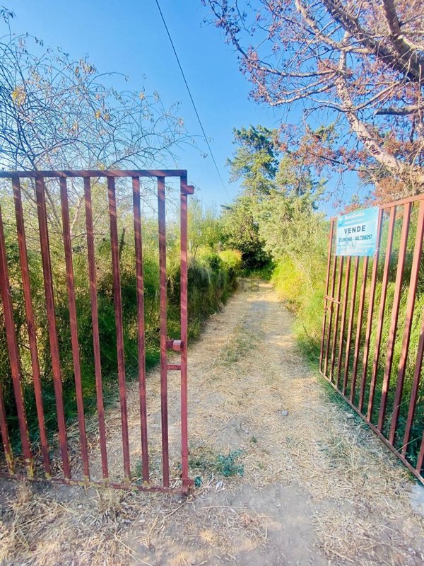 terreno agricolo in vendita a Muravera