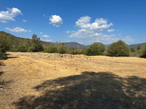 terreno agricolo in vendita a Muravera