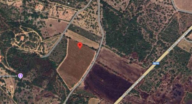 terreno agricolo in vendita a Muravera